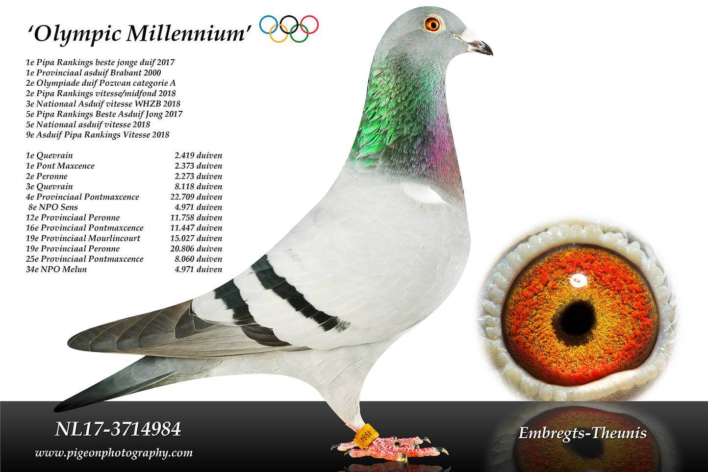 Olympic-Millennium-NL17-3714984
