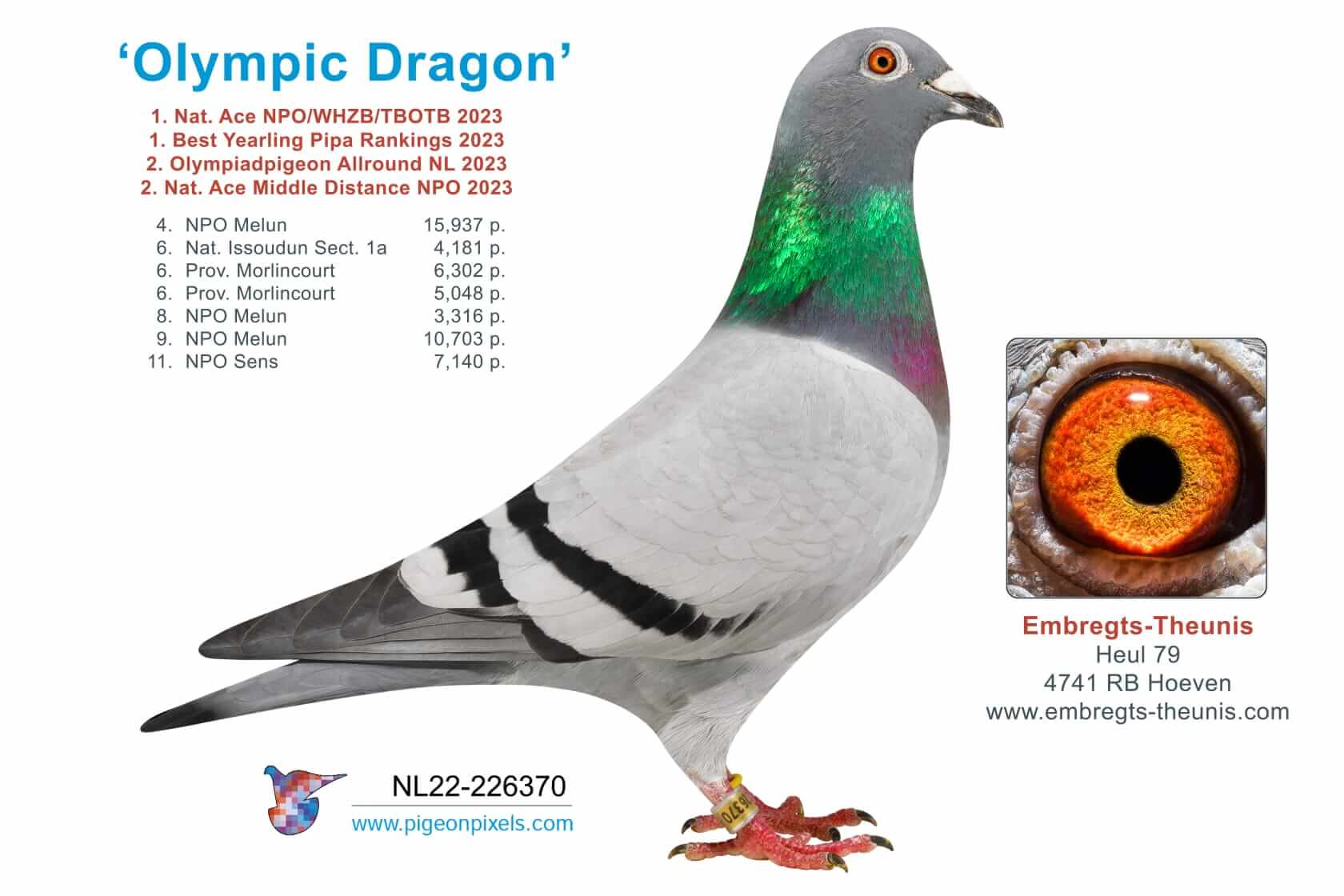 olympic-dragon-nl22-226370