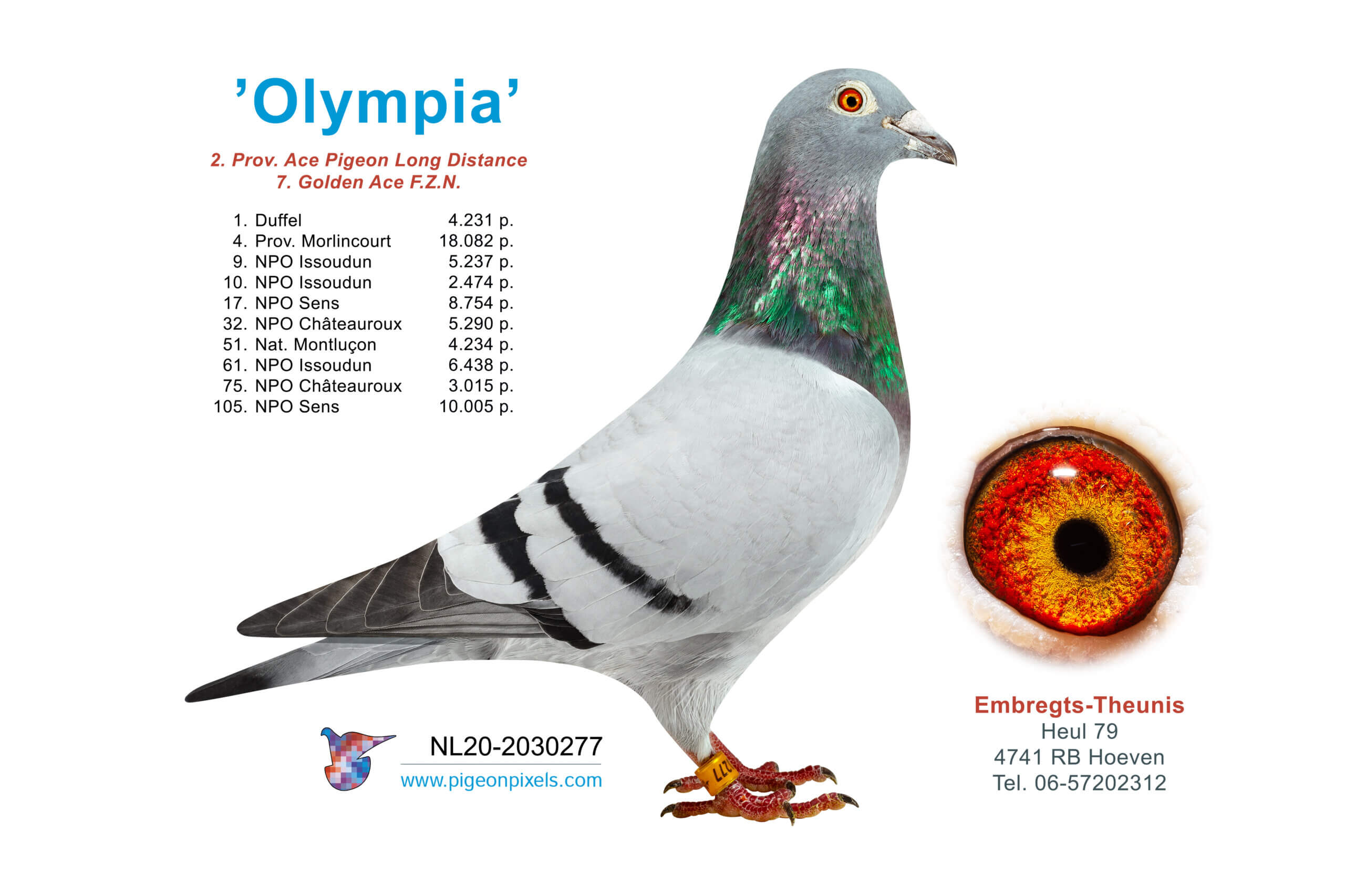 olympia-NL20-2030277