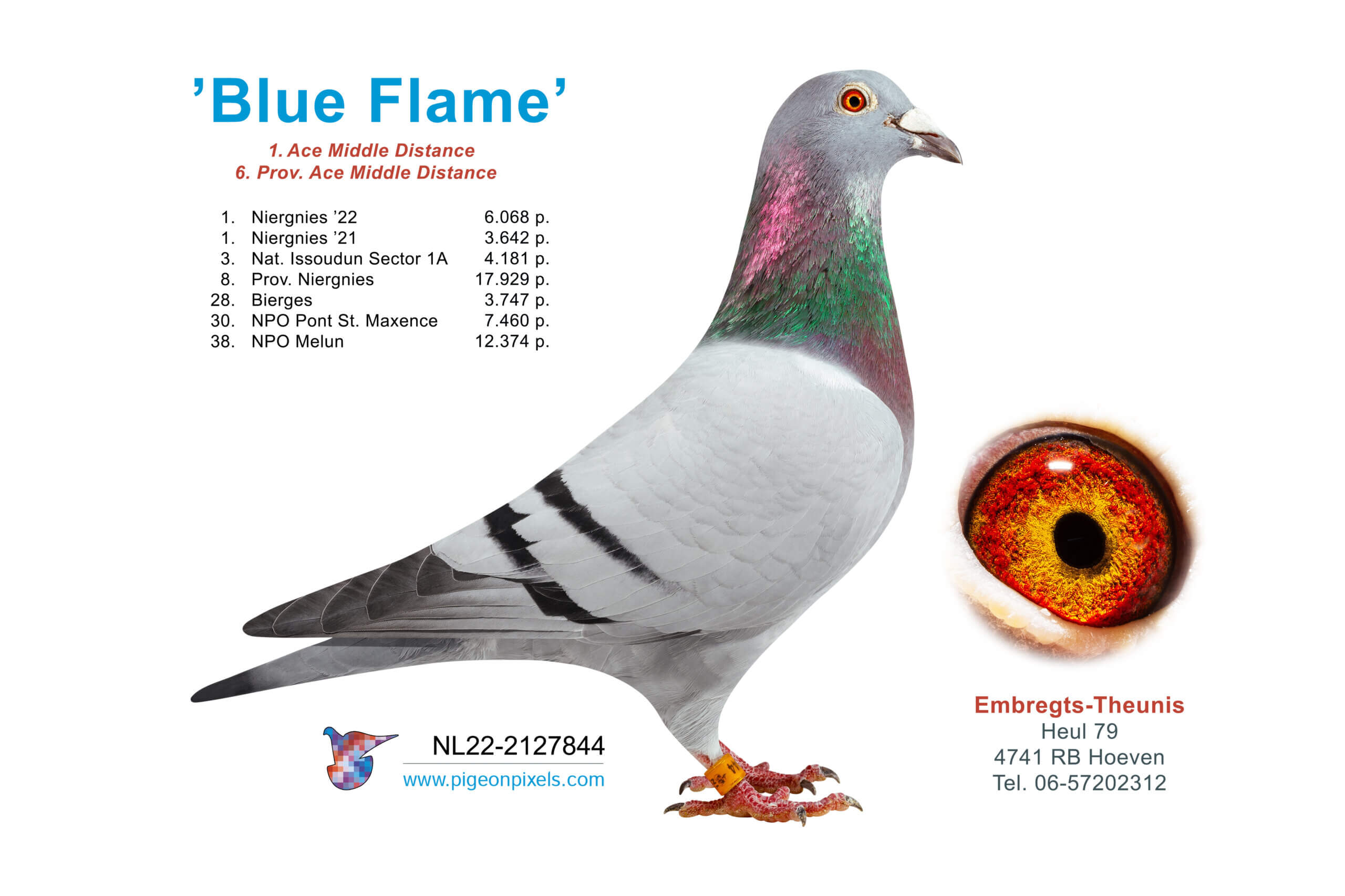 blue-flame-NL21-2127844
