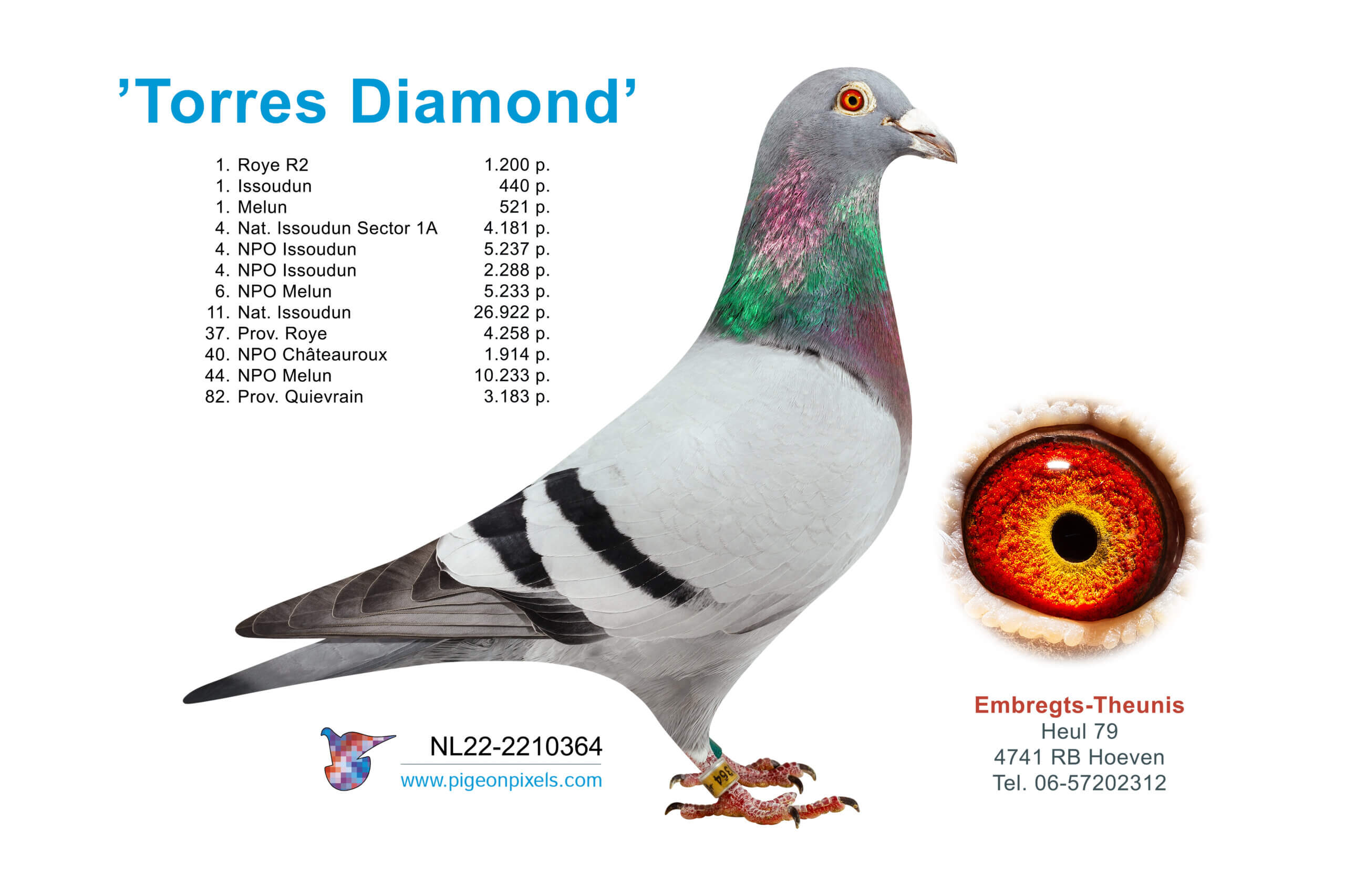 torres-diamond-NL22-2210364