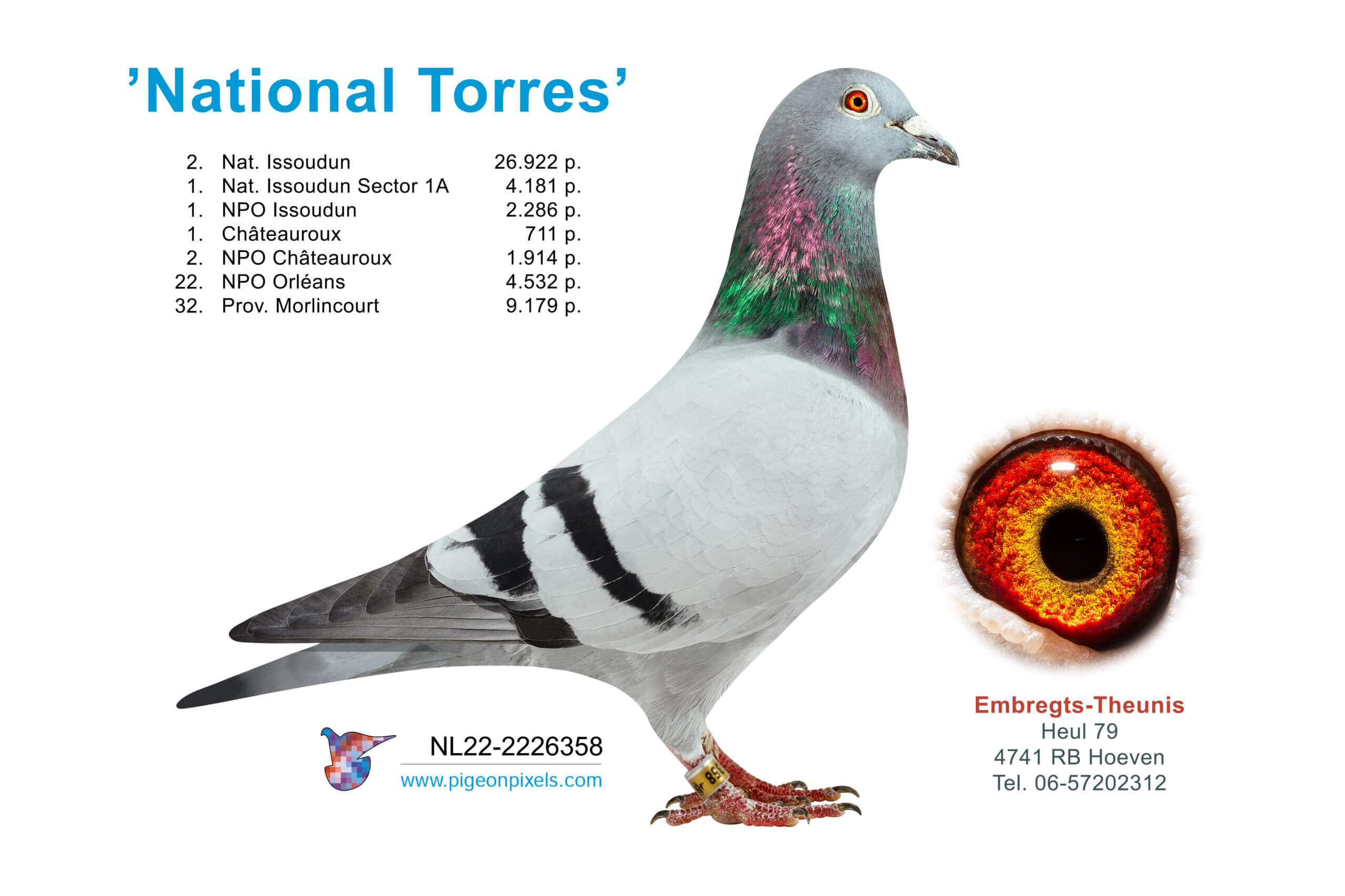 national-torres-NL22-2226358