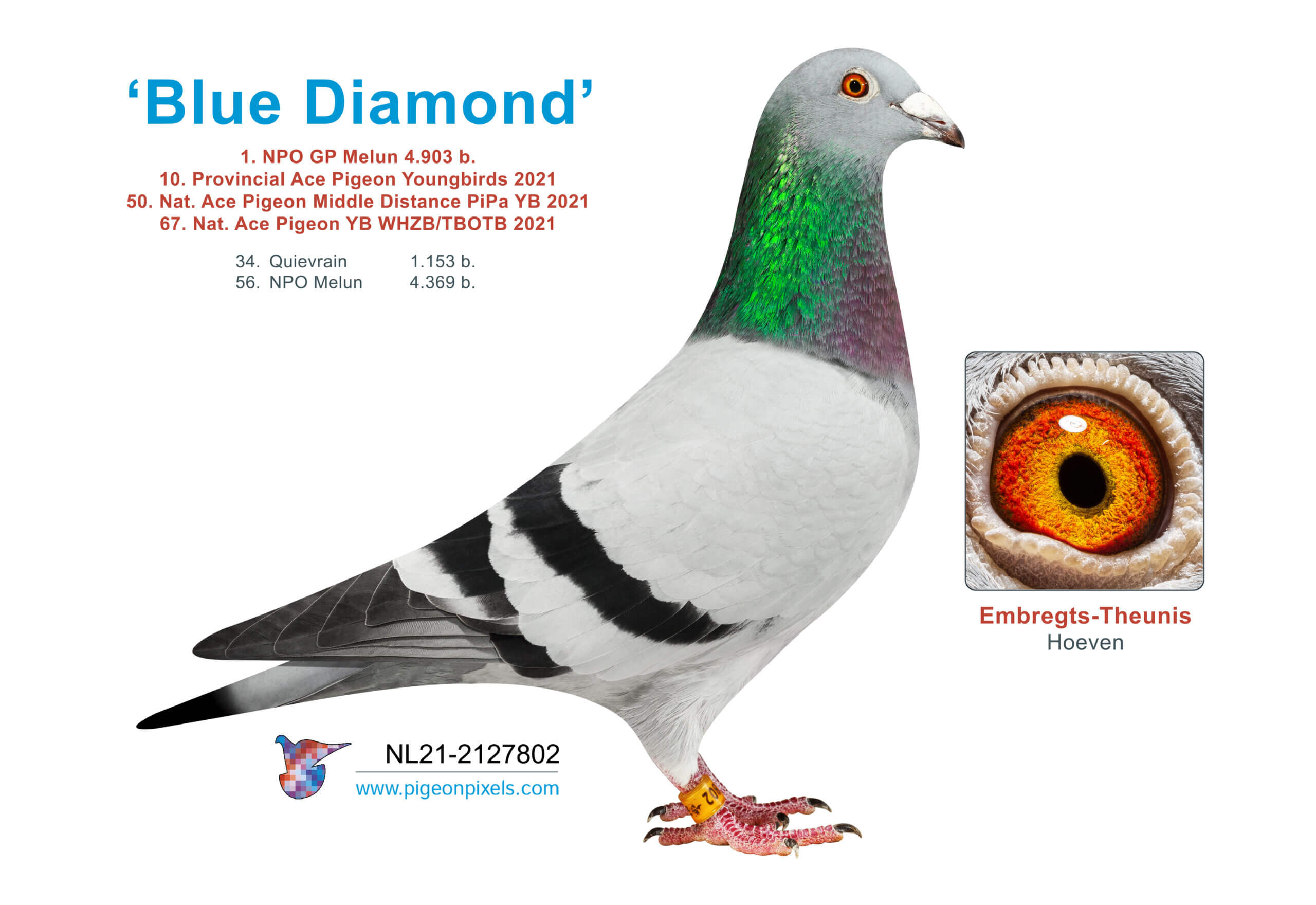 blue-diamond-NL21-2127802