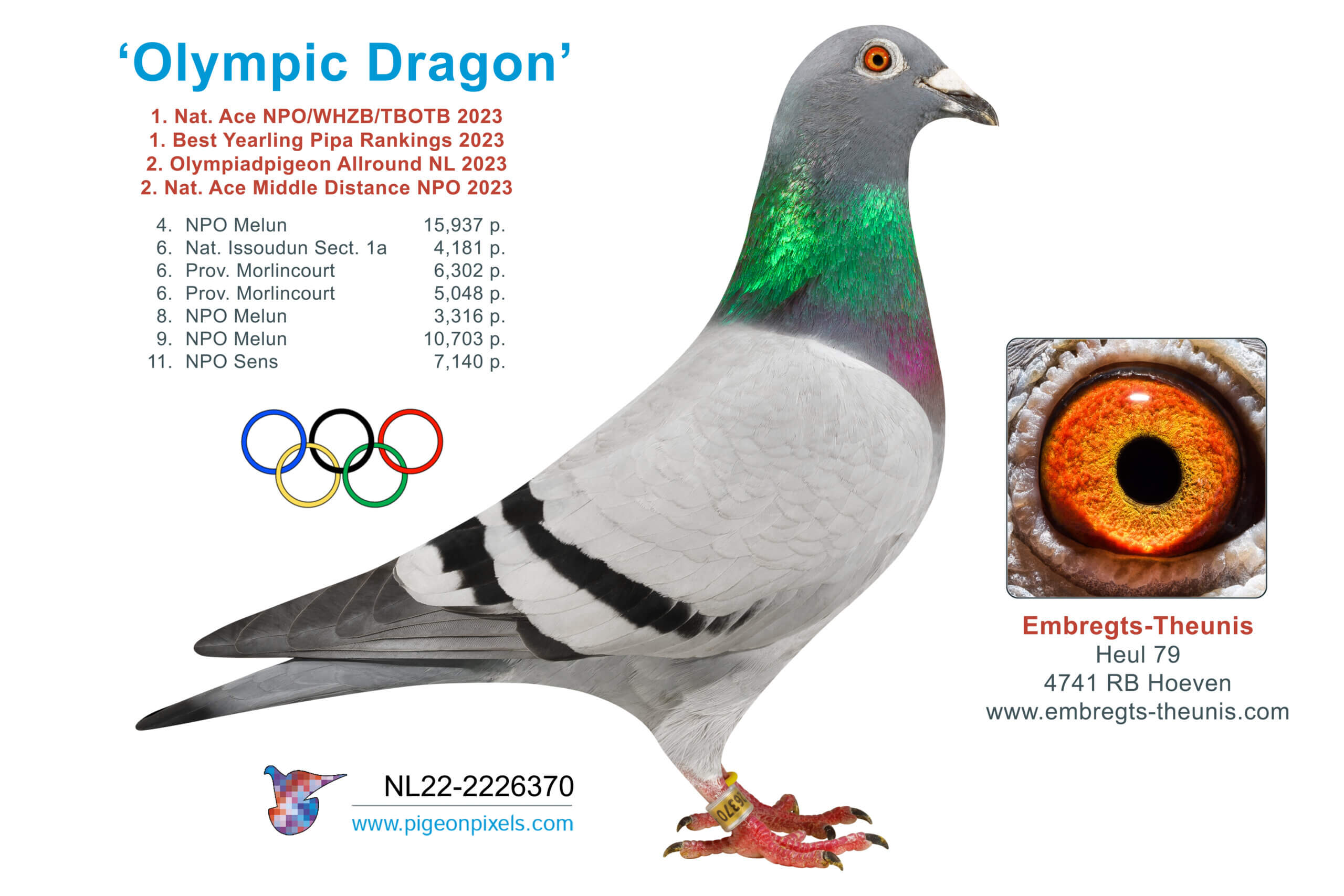olympic-dragon-new
